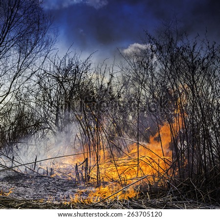 Wildfire burning the dry vegetation in the field with the flames and smoke rising to the sky.