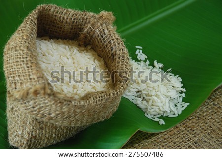 seed of dry jasmine rice in small sack bag decorated on banana leaf