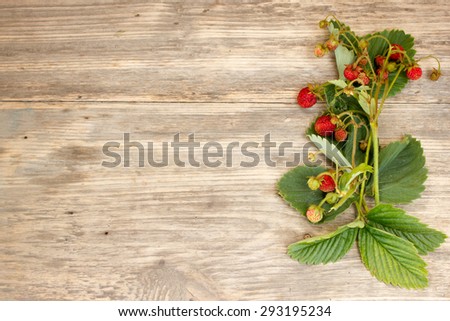 ripe strawberry on a wooden background. Copy space to right.. Copy space to right.