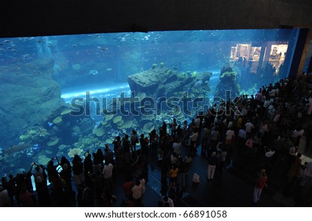 DUBAI, UAE - OCT 19: Interior View of Dubai Aquarium inside Dubai Mall on October 19, 2010 in Dubai, United Arab Emirates. The Aquarium has the longest plexiglass window in the world.