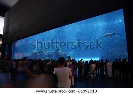 DUBAI, UAE - OCT 19: Interior View of Dubai Aquarium inside Dubai Mall on October 19, 2010 in Dubai, United Arab Emirates. The Aquarium has the longest plexiglass tunnel in the world.