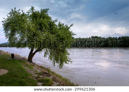 Tree and River\
Early summer cloudy evening. Tree beside a river and forest on the other side.