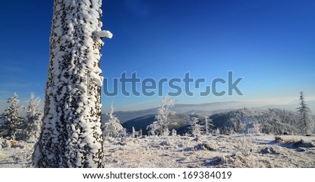 Winter landscapes, first frost in The National park, Czech Republic