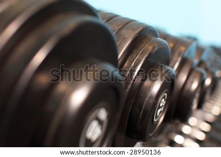 Rack with weights in gym