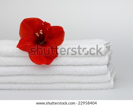 White towels with a flower on a white background