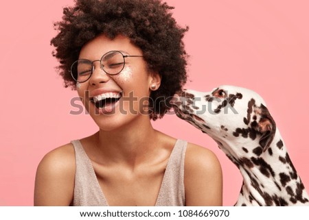 Happy overjoyed African American female feels glad as dalmatian dog smells her and shows devotion, isolated on pink background. Cheerful dark skinned woman with favourite pet. People and animals