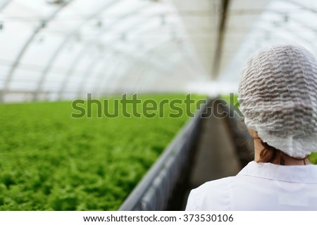 Junior agricultural scientists researching plants and diseases in greenhouse with parsley and green salad. Biotechnology woman engineer examining plant leaf for disease