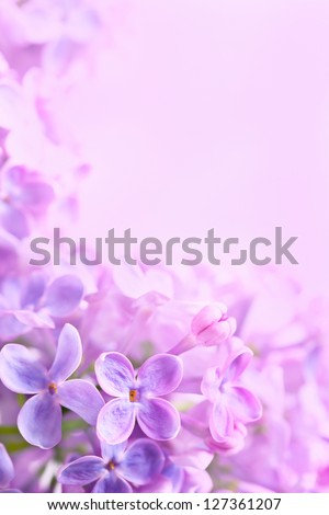 Spring flowers abstract background