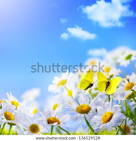 spring background with on a background of blue sky