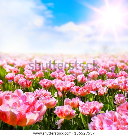 Abstract Sunny Beautiful Spring Background