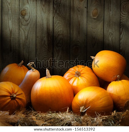 Art Autumn Pumpkin Thanksgiving Background
