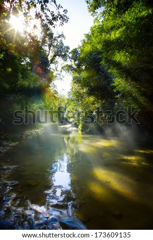 Art beautifu landscapewith tropical River in jungle