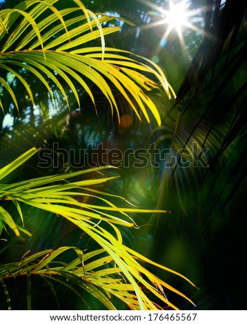 Art Tropical jungle background with green palm tree leaves