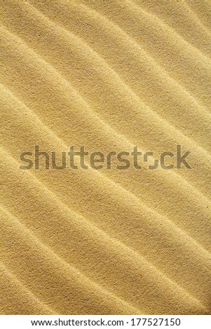 Art close up view beach sand background