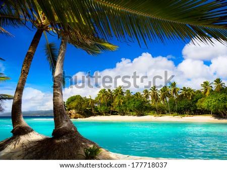 Art caribbean tropical sea  lagoon