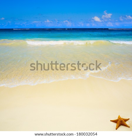 Art  beautiful untouched tropical sea beach