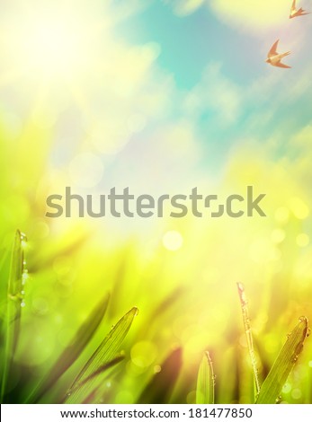 abstracts of natural spring background
