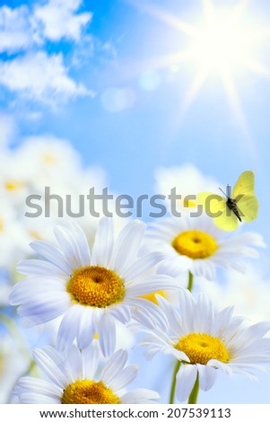 art floral spring or summer background