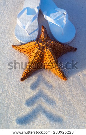 Art Christmass tree from shells on sand background