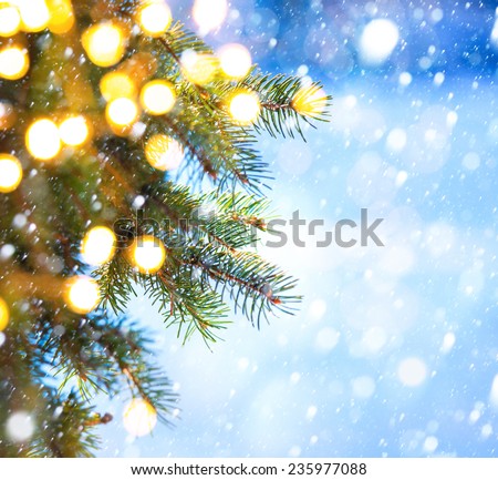 Christmas tree branch on a blue background