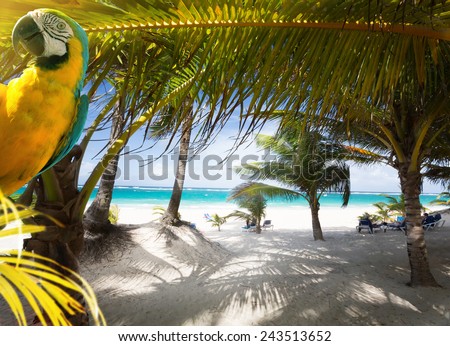 Art Vacation on Caribbean Beach Paradise