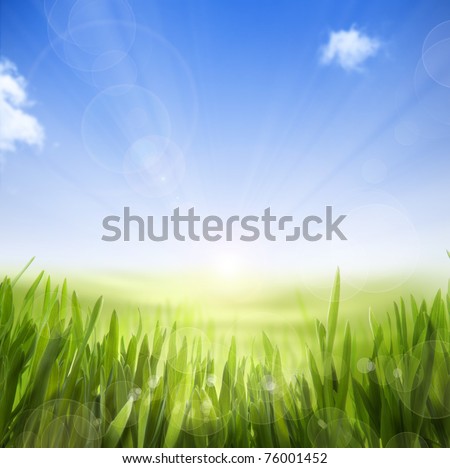 wallpaper nature spring. Spring nature background