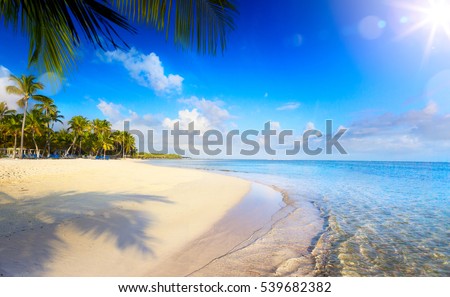 Summer tropical Beach; Peaceful vacation background.