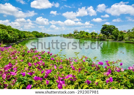 Purple flowers with water side at public park
