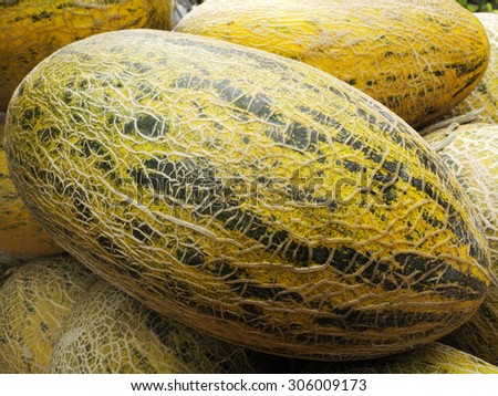 Fresh melons on display in food market in Tel Aviv, Israel.Food background and texture