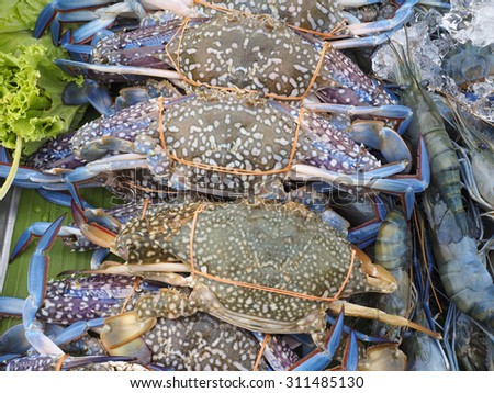 Blue crab for sale on market