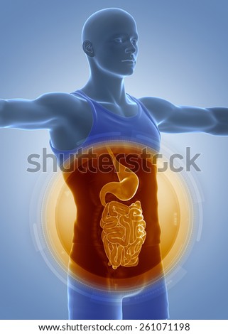Medical anatomy scan STOMACH and GUTS