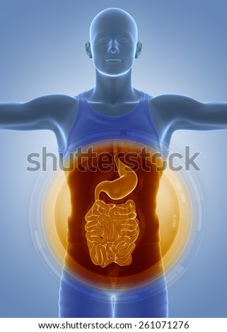 Medical anatomy scan STOMACH and GUTS