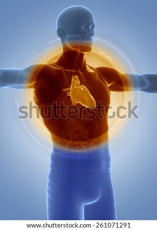 Medical anatomy scan HEART