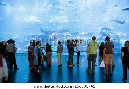 DUBAI, UAE - NOVEMBER 9: View of Dubai Aquarium inside Dubai Mall on November 9, 2013 in Dubai, UAE. The Aquarium has the longest plexi glass tunnel in the world.