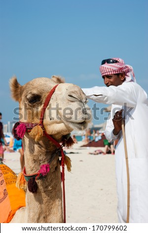 DUBAI, UAE - NOVEMBER 16, 2012: Arab man and camel on Jumeirah Beach in Dubai at the Burj Al Arab background.  Dubai was the fastest developing city in the world between 2002 and 2008.