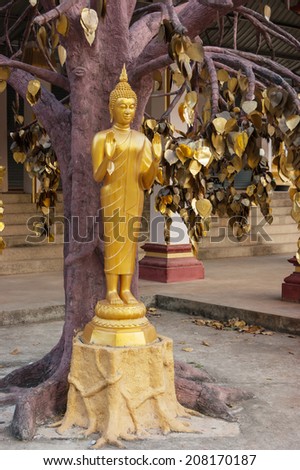 PHUKET, THAILAND - FEBRUARY 11, 2013: Buddhist temple in the south of Thailand