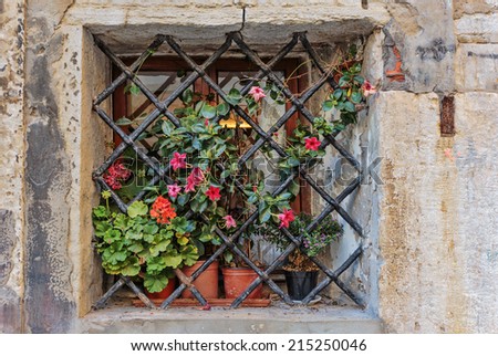 Window in an old house decorated with flower pots and flowers