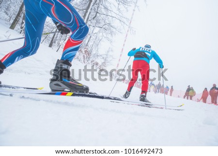 Cross country skiing in white winter nature. Original sport photo, Pyeongchang, winter game
