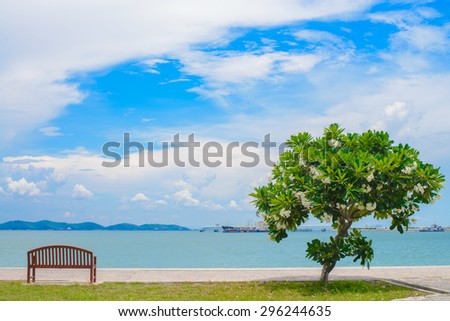 An empty wooden(wood) bench and tree with a viewpoint looking out to sea. Cargo ship in the ocean in the sky. Summer season on the beach. Bulk-carrier ship in the sea. seascape.