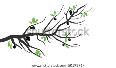 olive branch tree