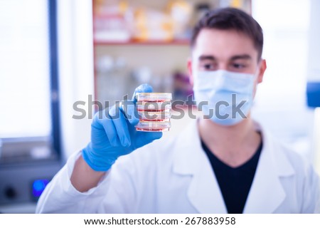 Young scientist with couple of Petri dishes with tissue cultures and cells in red medium