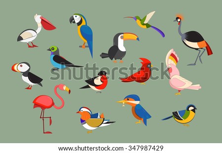 Flat design vector birds icon set. Cartoon bird collection. Popular birding species icons. Exotic bird line art set