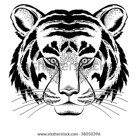 Tiger Head. Black And White. Stock Vector Illustration 38050396 