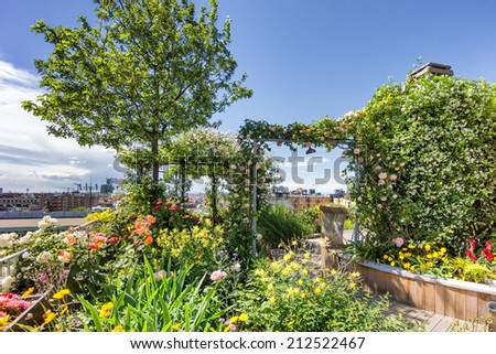 roof top garden with plants and flowers