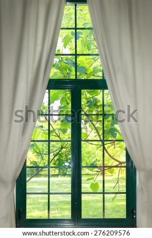 garden through the widow with curtains