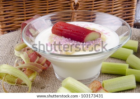 freshly cut organic rhubarb with yogurt and pink sugar in a bowl