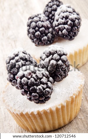 vanilla cupcake and blackberries with icing powder