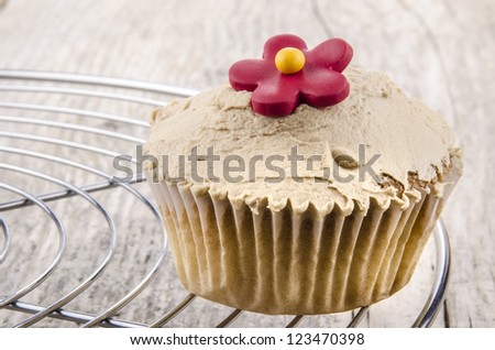 cupcake with cocoa butter cream and flower