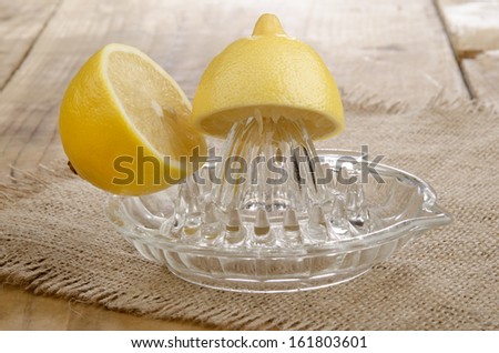 half a lemon on a lemon squeezer