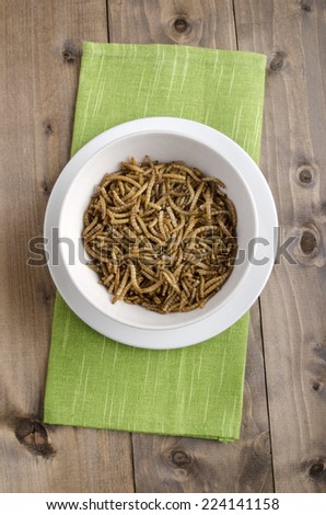 meal worms served in a white bowl